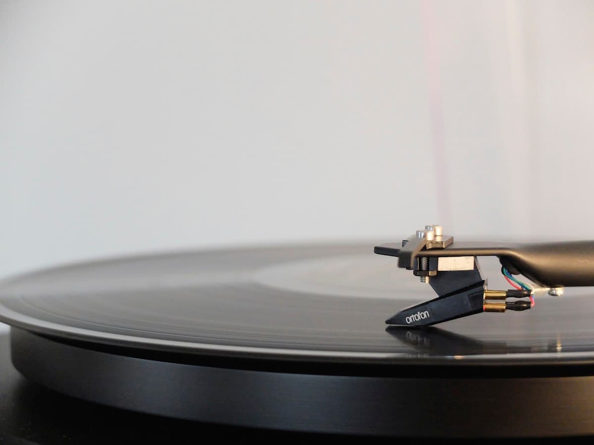 Vinyl records on shelf